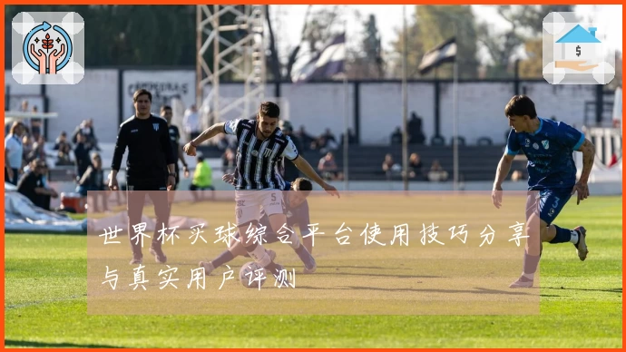 世界杯买球综合平台使用技巧分享与真实用户评测