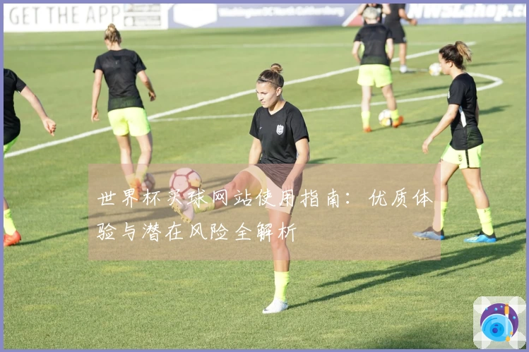 世界杯买球网站使用指南：优质体验与潜在风险全解析