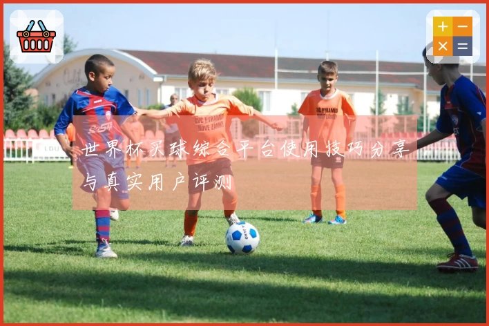 世界杯买球综合平台使用技巧分享与真实用户评测